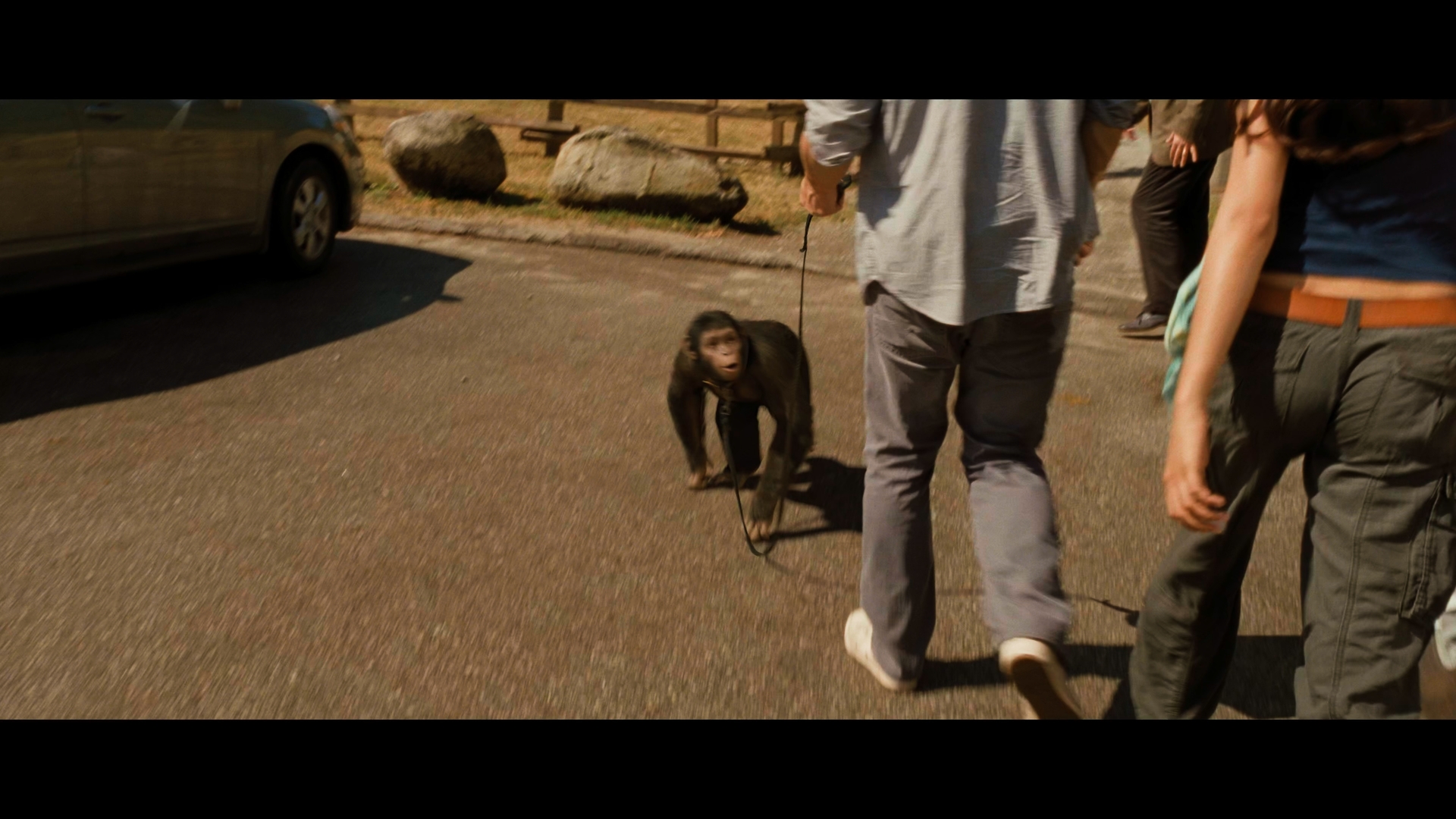 Still 2025 11 01 162729 1.6.1